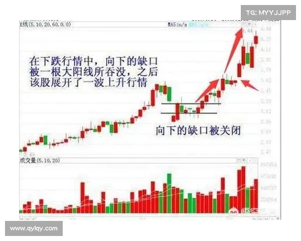 提升战力必修课 重剑属性点加点策略全面解析与实战应用 提升战力必修课 重剑属性点加点策略全面解析与实战应用