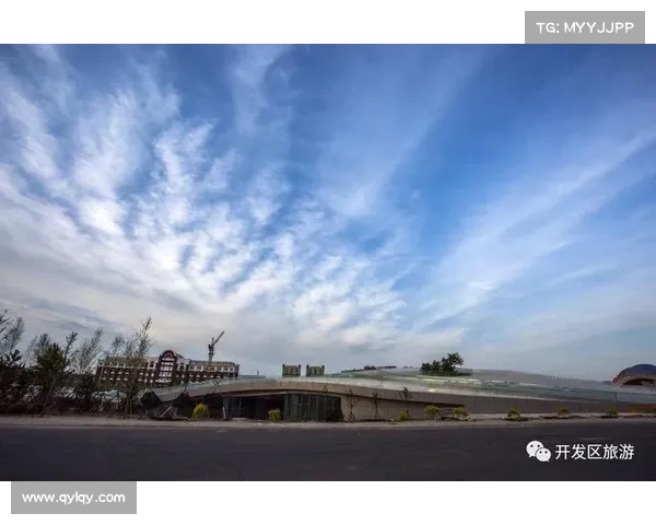 以东超为核心解析其深层含义与文化背景探讨